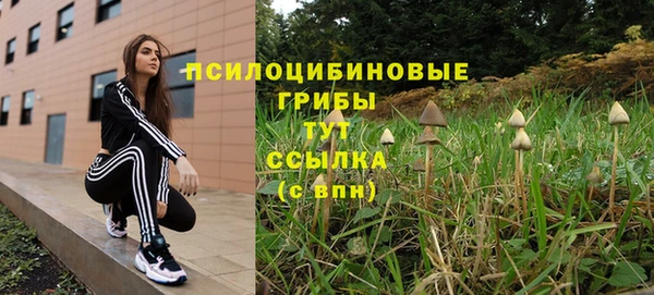 СК Абдулино