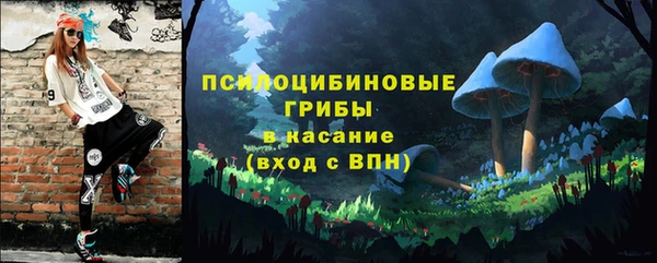 молекула духа Абинск