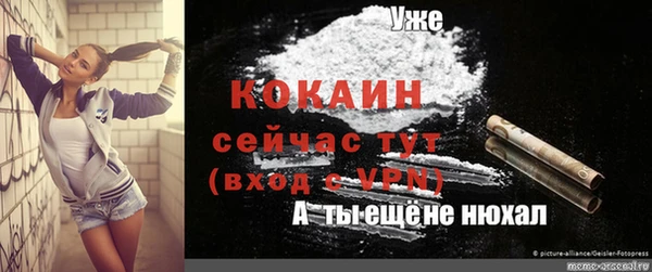 молекула духа Абинск