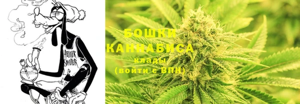 прущий лед Абаза